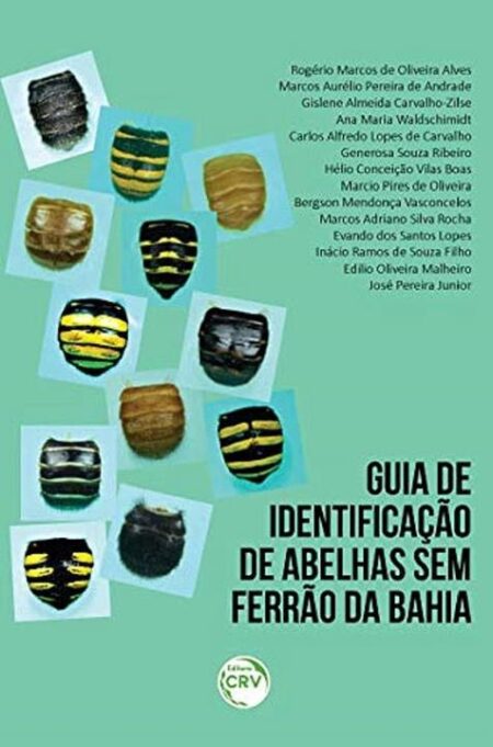 Guia de Identificação de Abelhas Sem Ferrão: Vale a Pena em 2025?
