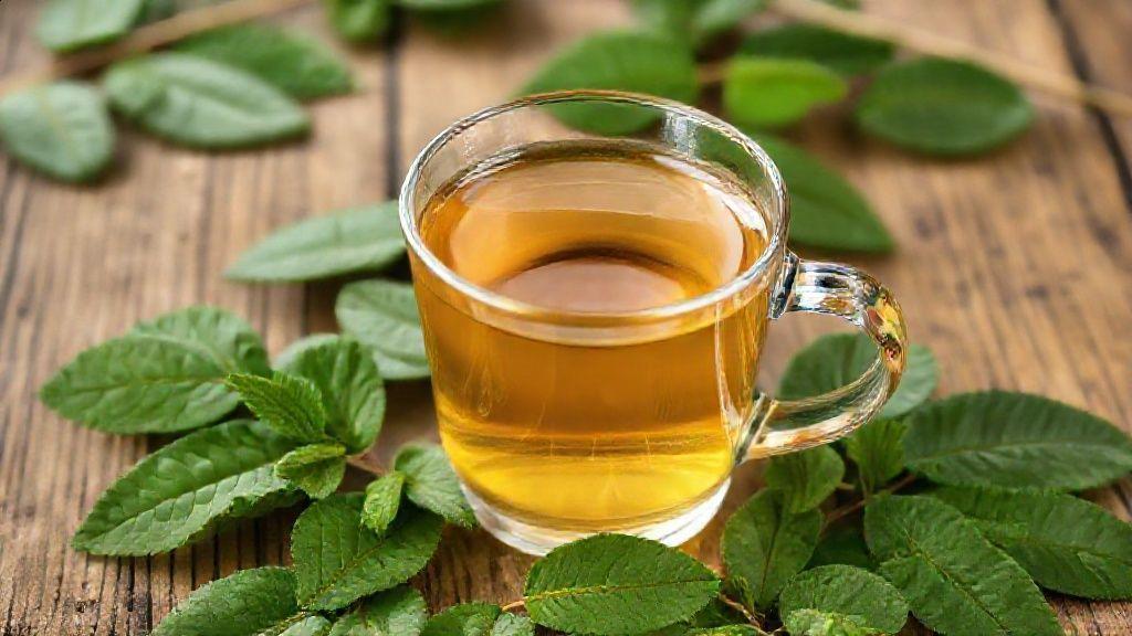 O que é malva chá e sua origem