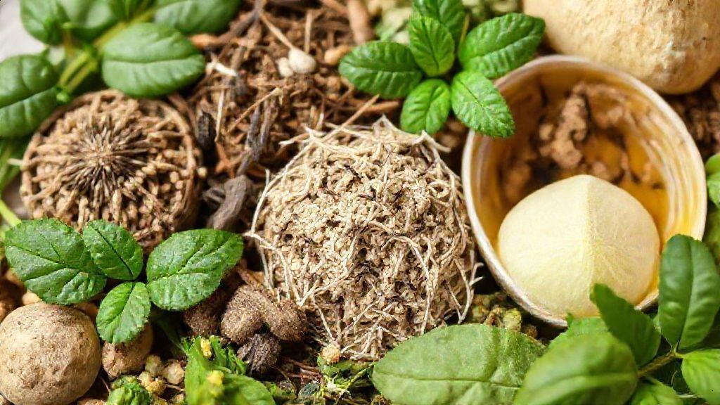 Como preparar e consumir chás para dor na barriga Como preparar e consumir chás para dor na barriga