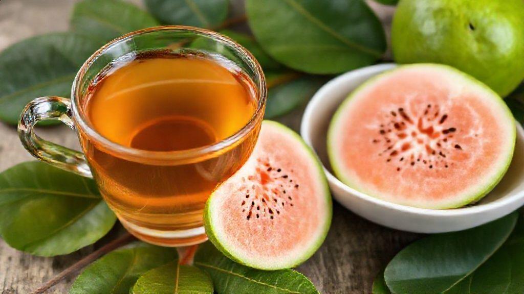 Folha de goiaba para controle do açúcar e colesterol Folha de goiaba para controle do açúcar e colesterol