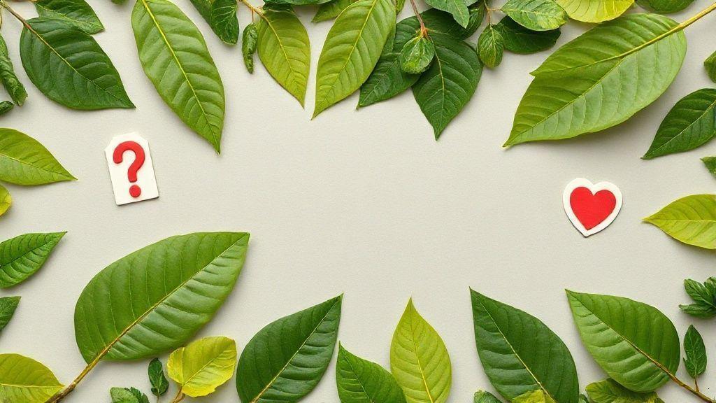 Conclusão: o verdadeiro valor da folha de boldo na saúde Conclusão: o verdadeiro valor da folha de boldo na saúde