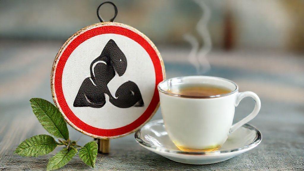 Conclusão: por que incluir o chá de tilia na rotina