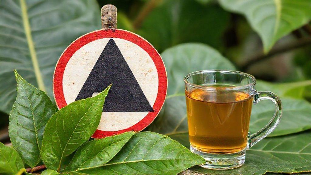 Conclusão e considerações finais sobre o guaco chá Conclusão e considerações finais sobre o guaco chá