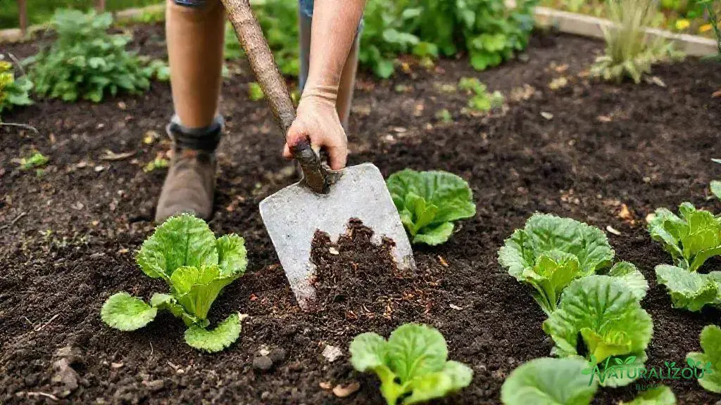 Preparação do solo para cultivo saudável Preparação do solo para cultivo saudável