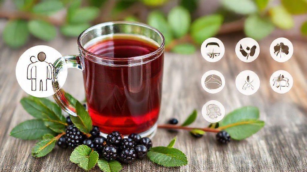 Como preparar e consumir o chá de sabugueiro corretamente