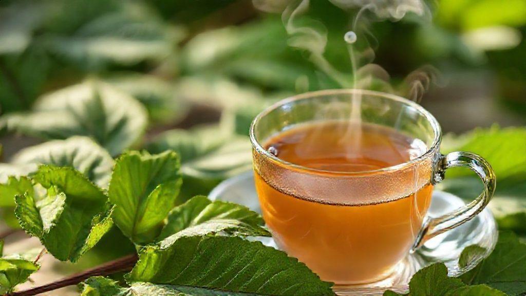 Como usar o chá de sene corretamente