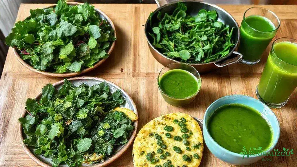 Receitas práticas com acelga verde escura Receitas práticas com acelga verde escura