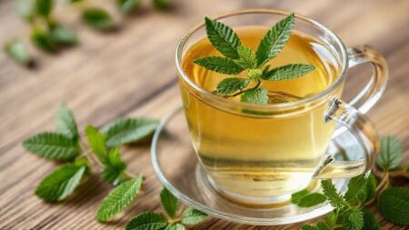 Verbena chá: descubra os incríveis benefícios e usos para sua saúde já