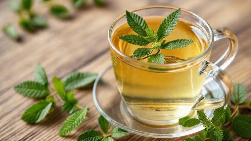 Verbena chá: descubra os incríveis benefícios e usos para sua saúde já