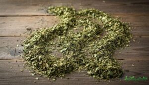 Chá de erva mate: descubra seus incríveis benefícios para a saúde