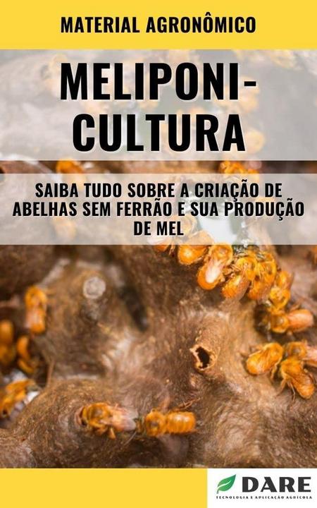 Meliponicultura: Tudo sobre a Criação de Abelhas sem Ferrão em 2026
