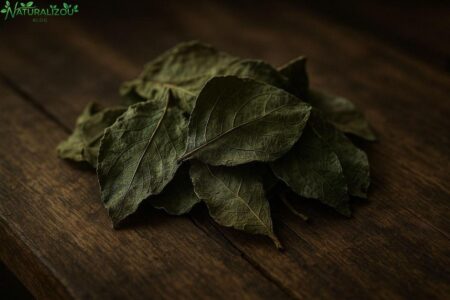 Chá de pedra hume caa: Descubra os benefícios dessa erva medicinal Chá de pedra hume caa: Descubra os benefícios dessa erva medicinal